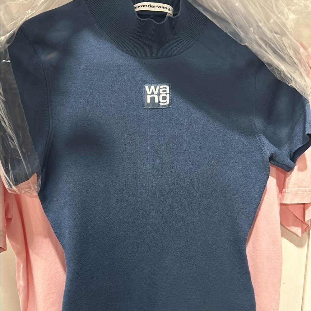 Alexander wang dress worn once just dry cleaned